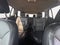 2019 GMC Acadia SLT 1 4x4 4dr SUV