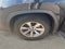 2019 Lexus RX 350 Base AWD 4dr SUV