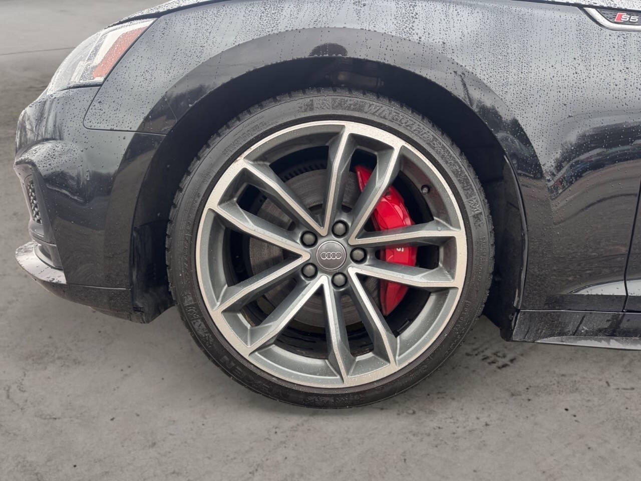 2019 Audi S5 Sportback 3.0T quattro Premium Plus AWD 4dr Sportback